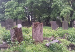 Wycieczka na cmentarz żydowski.