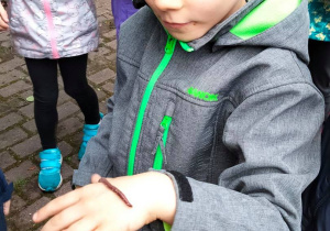 Uczeń z dżdżownicą na dłoni