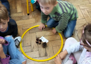 Uczniowie układają działania matematyczne na szyszkach i kasztanach