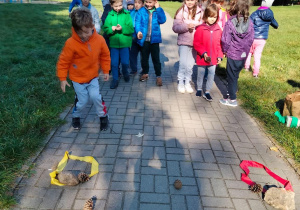 Zabawy ruchowe na świeżym powietrzu