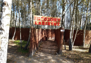 Brzozowy labirynt