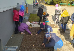 Uczniowie klasy 1b sadza cebulki tulipanów