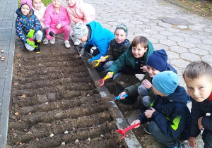 Uczniowie klasy 1b sadza cebulki tulipanów