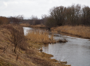 Obserwacje nad rzeką Ner