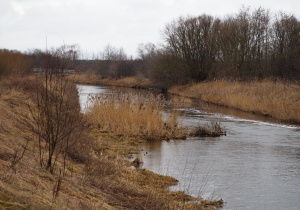 Rzeka Ner
