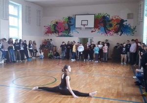 Pokaz akrobatyczny