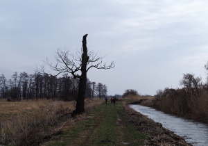Piękny widok na rzekę