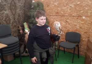 Piotr i płomykówka