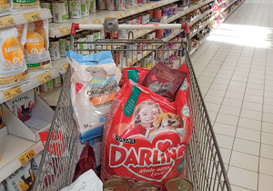 Zakupy dla schroniska
