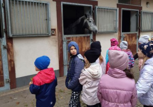 Dzieci przy stadninie koni