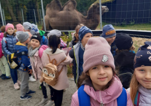 Grupa dzieci na tle wybiegu dla wielbłąda