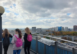 Widok z góry