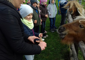 dzieci karmią kucyki