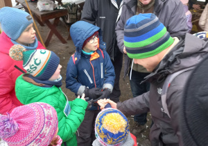Ciekawostki o raniuszkach