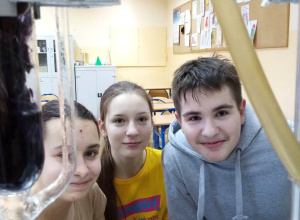 Ekstrakcja barwników roślinnych