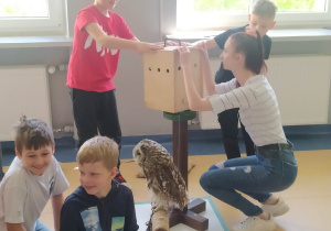 Opiekun sów zdejmuje osłonę