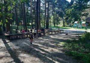 Leśna klasa.