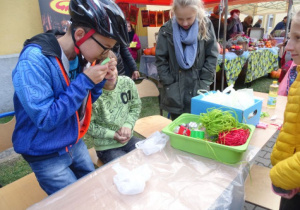 Piknik rodzinny.