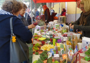 Piknik rodzinny.