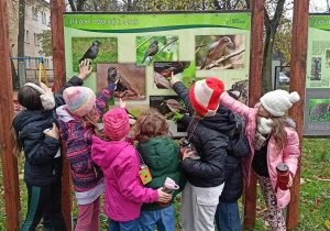 Uczniowie pokazują ilustracje ptaków na tablicy edukacyjnej.
