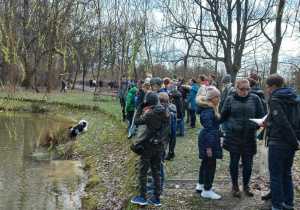 Ciekawostki profesora o kaczkach krzyżówkach