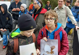 Konkurs