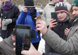 Sesja fotograficzna grubodzioba