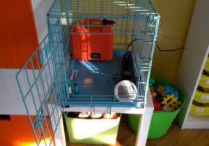 Pomiary w pracowni 43.