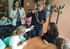 Bliskie spotkanie z wężem.