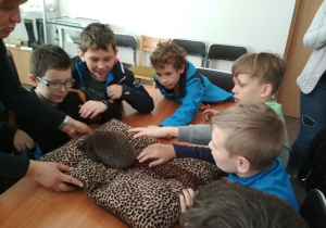 Chłopcy głaszczą jeża.