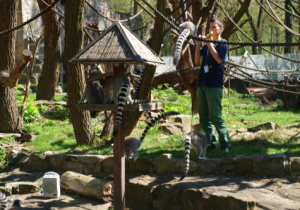 Warsztaty w zoo.