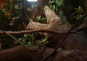 Warsztaty w zoo.