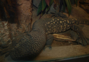 Warsztaty w zoo.