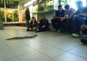 Warsztaty w zoo.