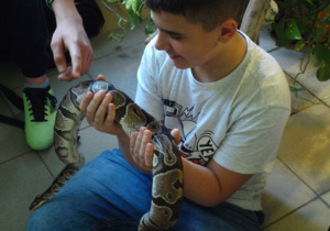 Warsztaty w zoo.