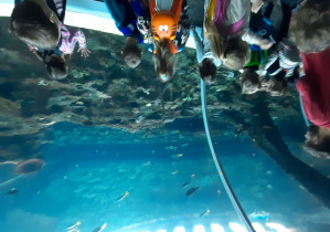 Uczniowie na tle akwarium z rybami