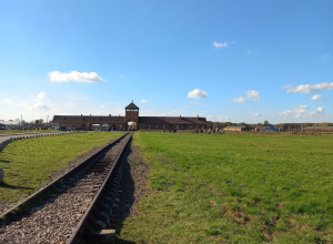 Muzeum Auschwitz-wycieczka klas VIII a, VIII b i VII a