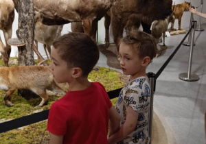Dwoje chłopców stoi przed wystawą zwierząt leśnych.