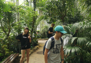 Uczniowie spacerują alejkami palmiarni