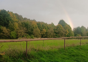 Piękno otaczającej natury