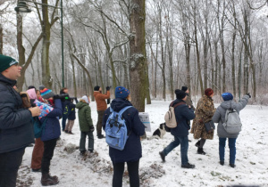 Obserwacja dzięcioła dużego