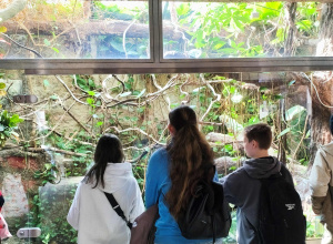 Troje uczniów w ZOO