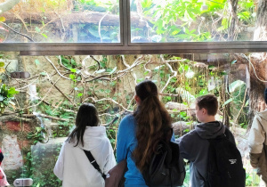 Troje uczniów w ZOO