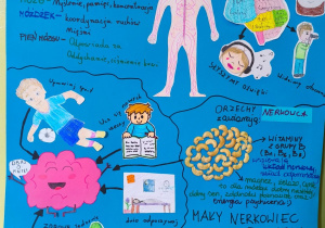 Plakat konkursowy o mózgu