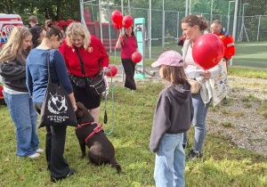 Spotkanie z dogoterapią